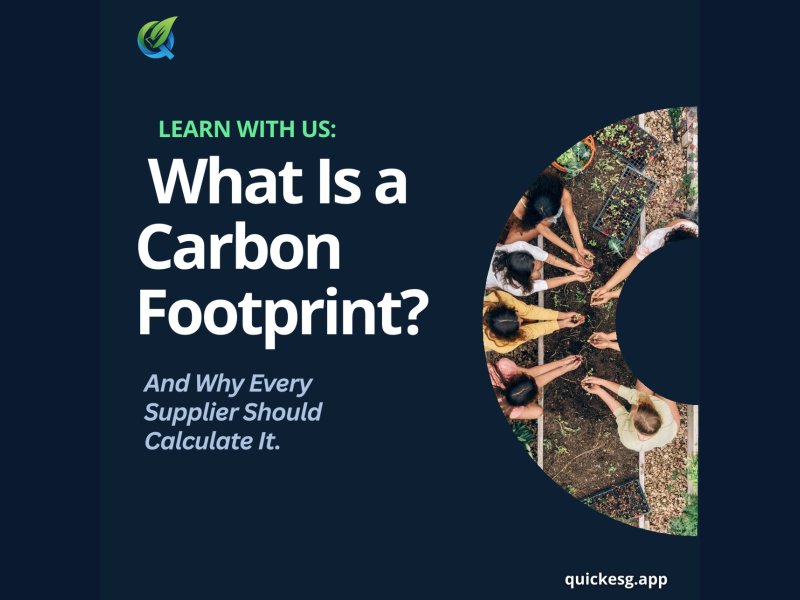 What is a Carbon Footprint? And Why Every Supplier Should Calculate It