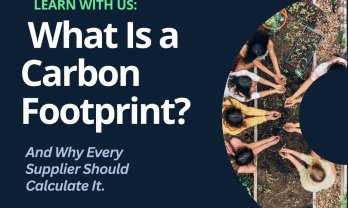 What is a Carbon Footprint? And Why Every Supplier Should Calculate It