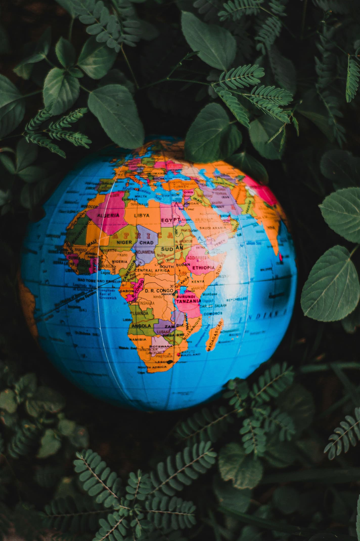 A small, colorful globe showing the continents, resting amidst dark green foliage and leaves, symbolizing nature and the environment.