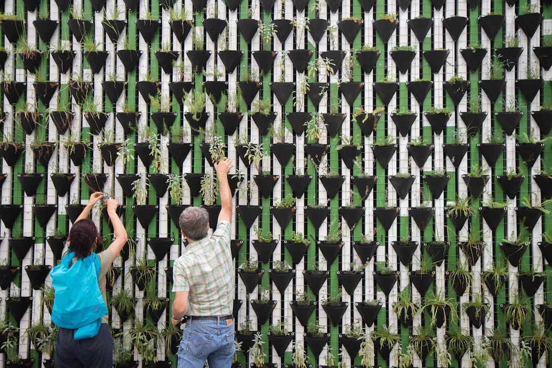 Two people are tending to a large vertical garden wall composed of many small, black, triangular planters.